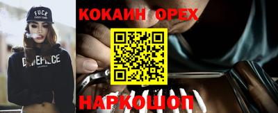 шишки Лесосибирск