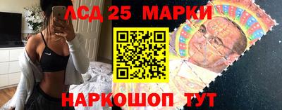 шишки Лесосибирск