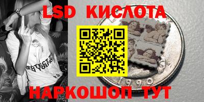 шишки Лесосибирск