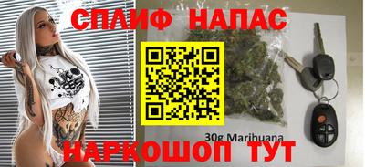 шишки Лесосибирск