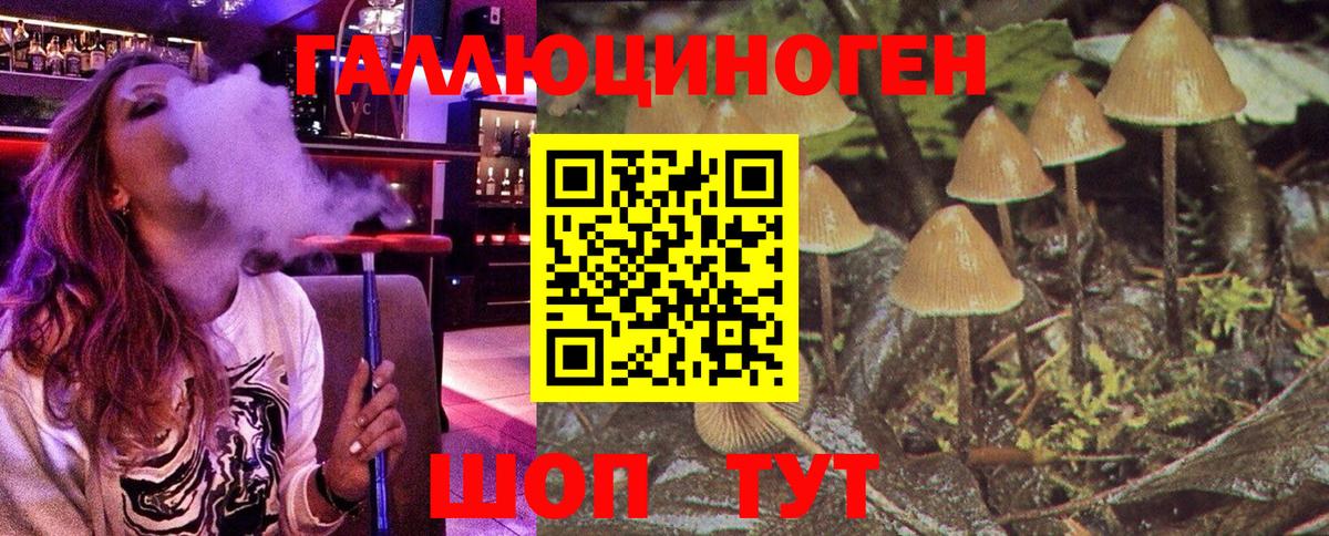 Псилоцибиновые грибы прущие грибы Черняховск
