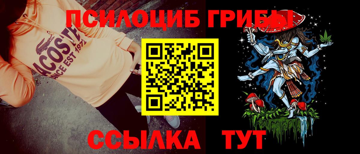 Черняховск  Псилоцибиновые грибы ЛСД  Вход с VPN 